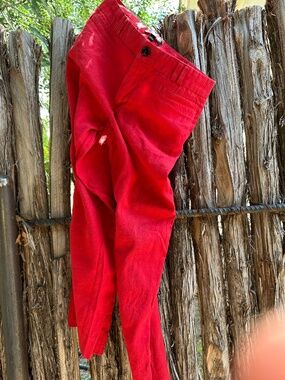 Banana Republic Mid Rise Cropped Red Pants in Size 2